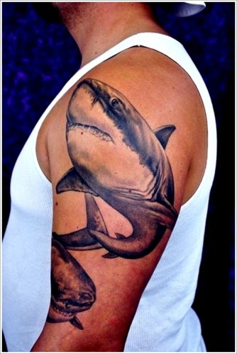 tatuajes de tiburones23