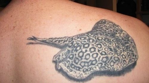 tatuajes de rayas de mar3