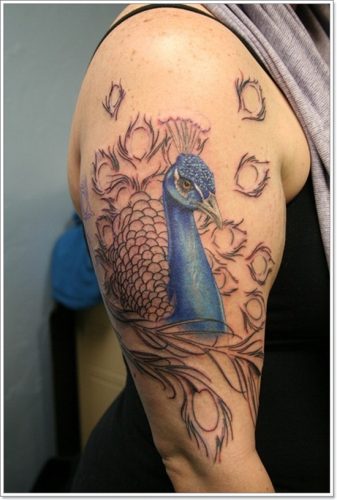 tatuajes de ave fenix10